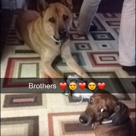 Meet your buyer/seller :) - Picture 2 of 4