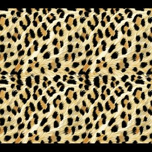 Interested in something make an offer (: