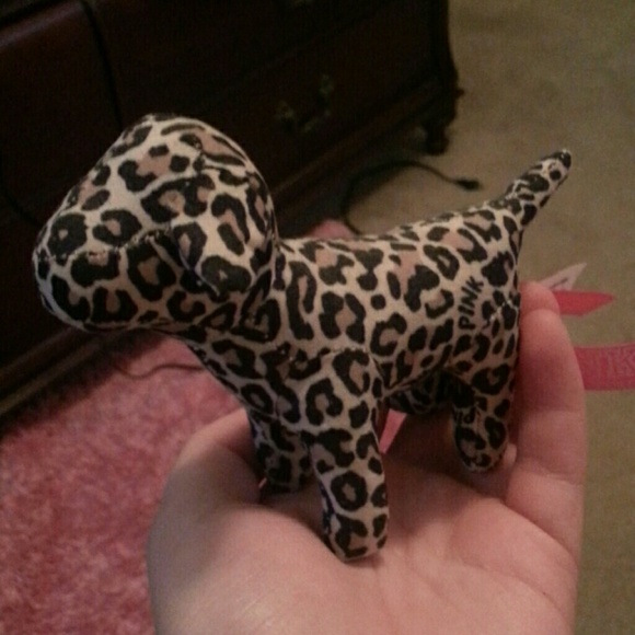 Victoria's Secret dog