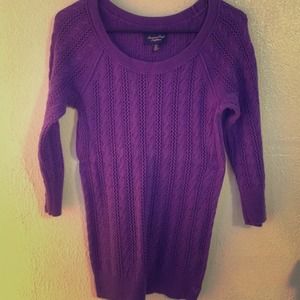 Plum AE sweater