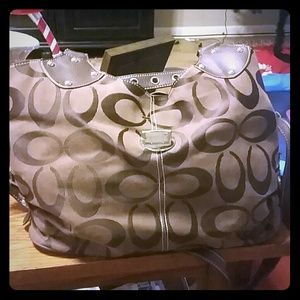 Large "off-brand" Purse