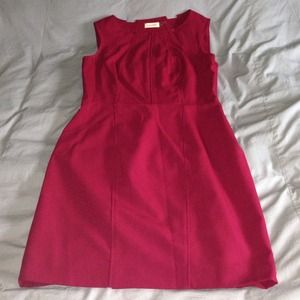 Calvin Klein Raspberry sheath dress 12 petite