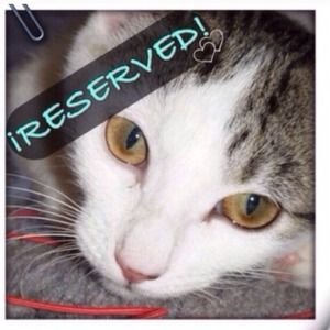 Bundle for @yolililila