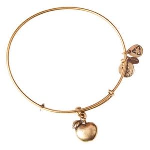 Alex and Ani apple charm
