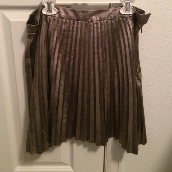 Silver Pleated Circle Skirt