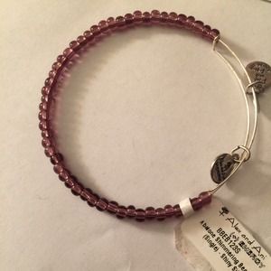 Alex and Ani bracelet