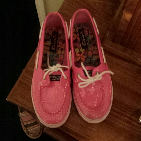 sperry top spider