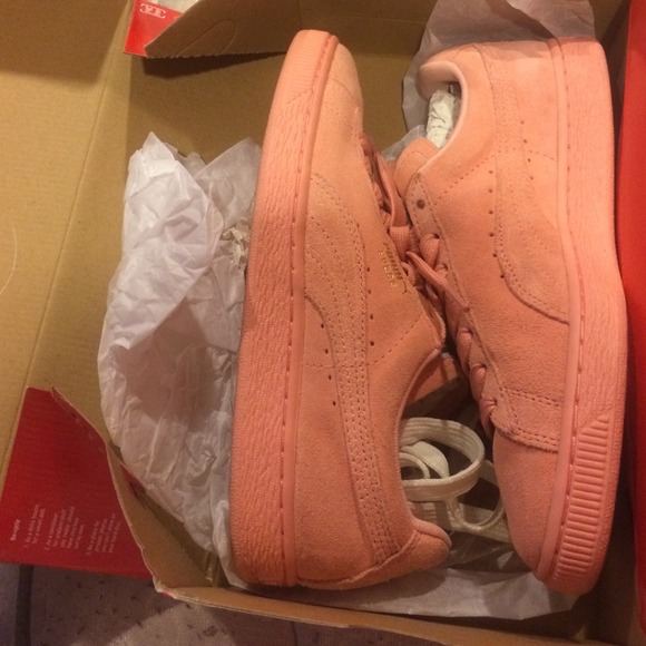 Pumas