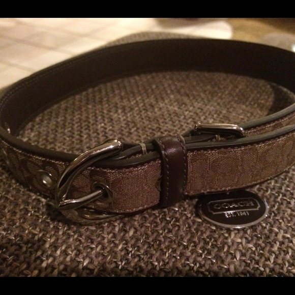 Coach dog collar