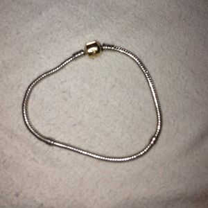 pandora two tone bracelet