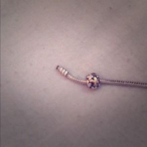 two tone pandora charm