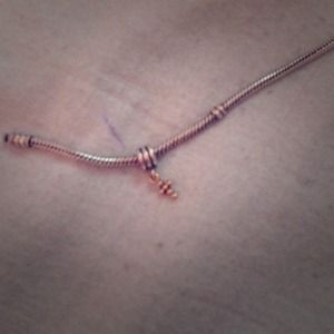 two tone pandora charm