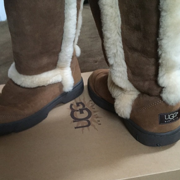 sunburst uggs chestnut sunburst uggs chestnut
