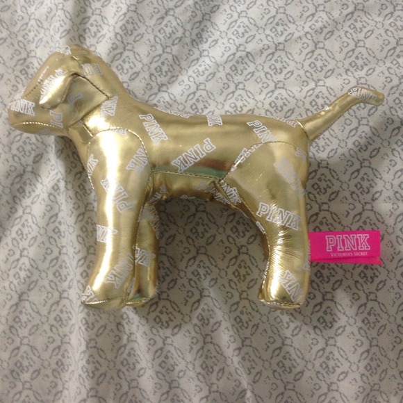 VS FASHION SHOW DOG :)