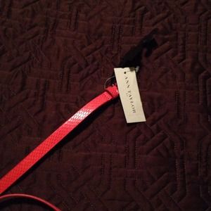 Ann Taylor belt