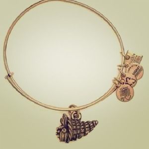 Alex and Ani