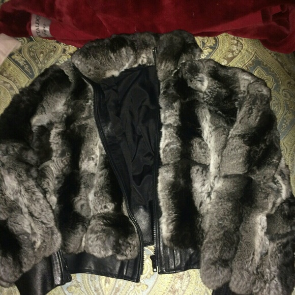 100% authentic chinchilla