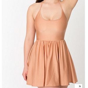 American Apparel Nylon Skater Dress