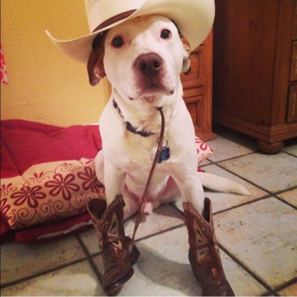 Follow 💁 on Instagram - Picture 4 of 4