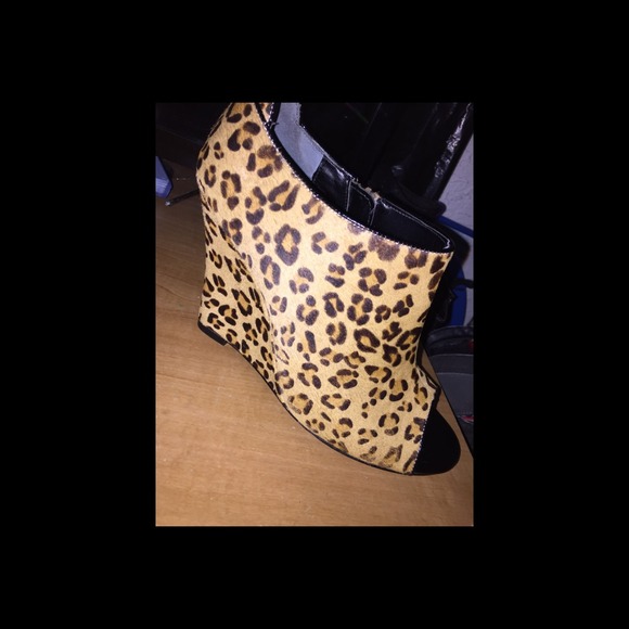 YANELI-EL TAN CHEETAH - Picture 2 of 3