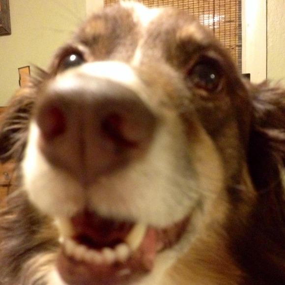 Welcome to my Closet! - Picture 2 of 7