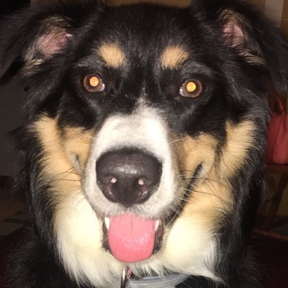 Welcome to my Closet! - Picture 4 of 7