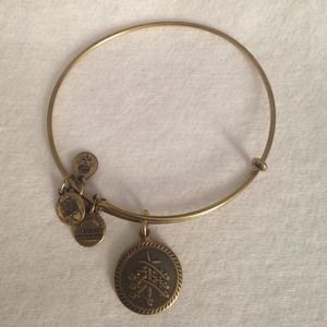 Alex and Ani Seven Swords Charm Bangle