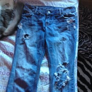 Hollister jeans