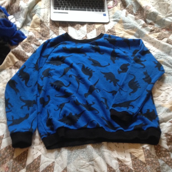 Dinosaur sweater
