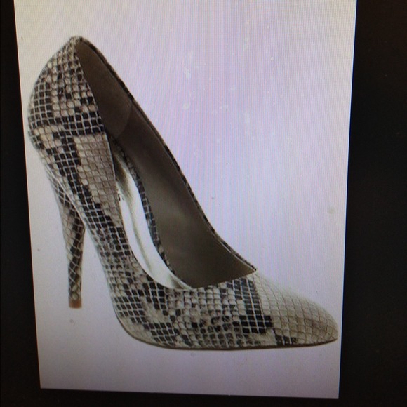 Charles David Snakeskin Pumps