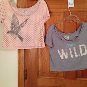 Bundle of two cute american eagle crop tops