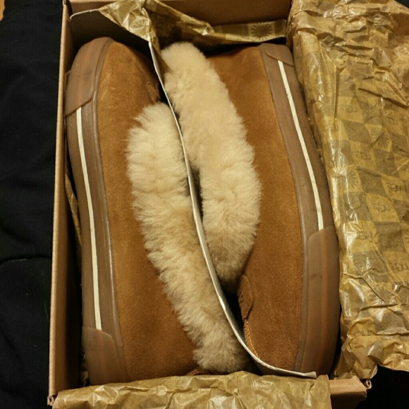 Ugg shoes