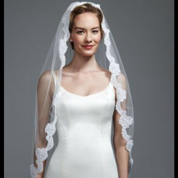 David's Bridal fingertip alencon lace veil