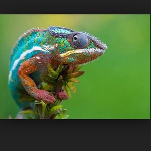 ✨Bundled for @briancampos✨