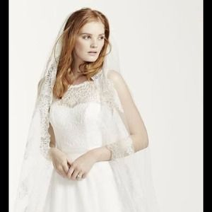 David's Bridal cathedral w/ chantilly lace veil