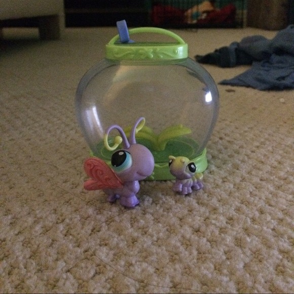 🐛 LPS Butterfly 🐛