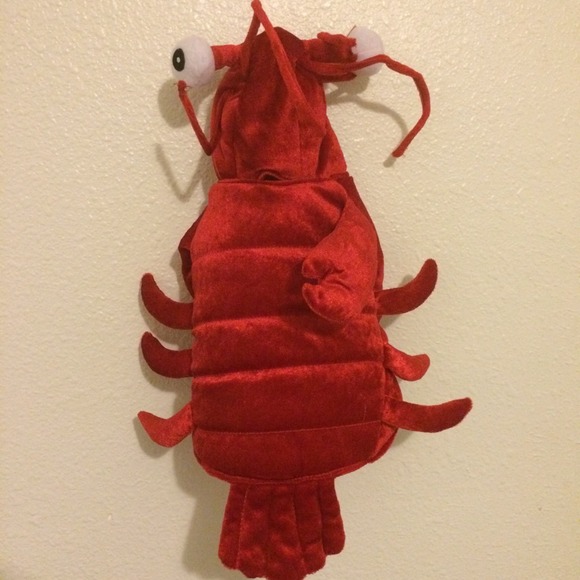 Small/Medium sized Cat or Dog Lobster costume!!
