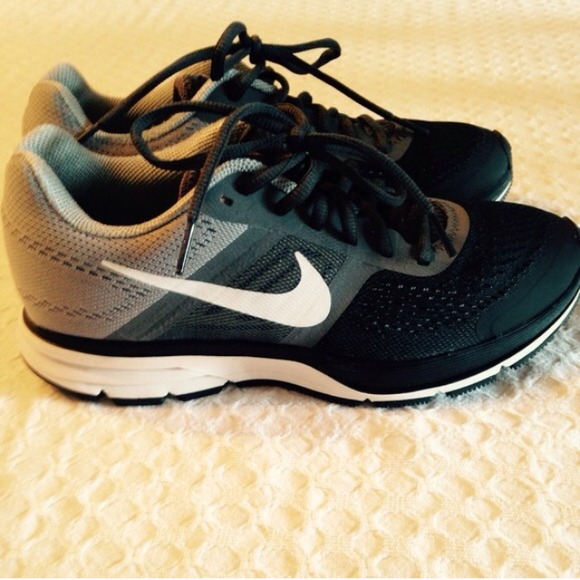 Nike Plus Pegasus 3.0 Fitsole2