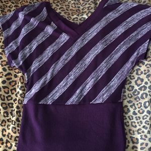 Purple stripped short sleeve sweater