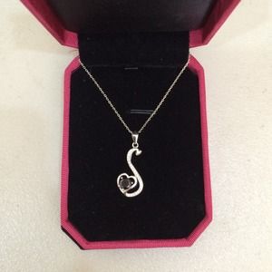 Heart "S" Necklace