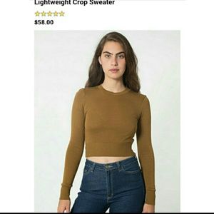 AA lightweight crop sweater