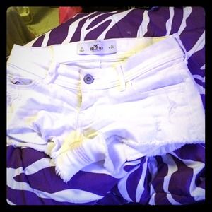 cute holister shorts🐶✨👍💘