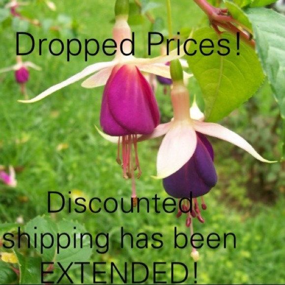 🚫Expired listing🚫