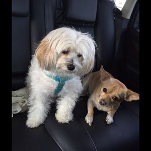 🐶my kids sad face😄