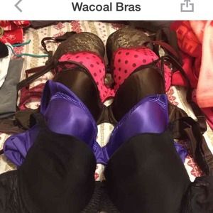 Brasssss! Expensive brand! 34DDD