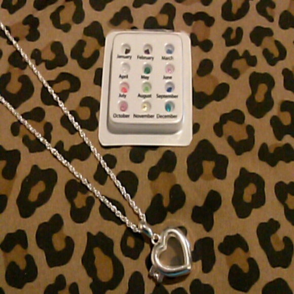 Interchangeable Locket Necklace