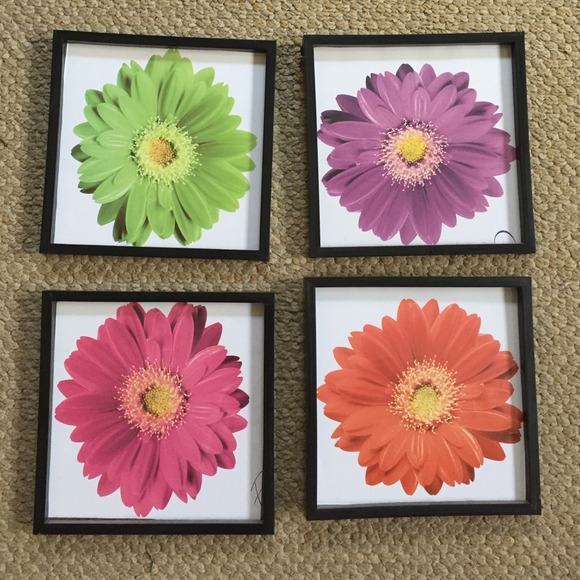 Flower pictures 🌸