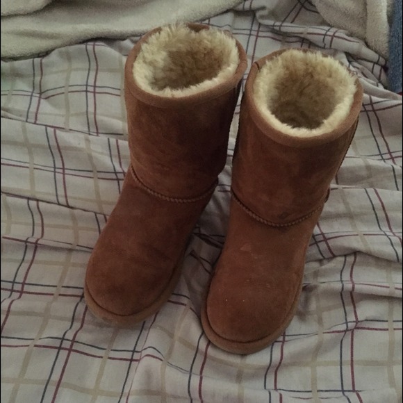 Chestnut UGGS