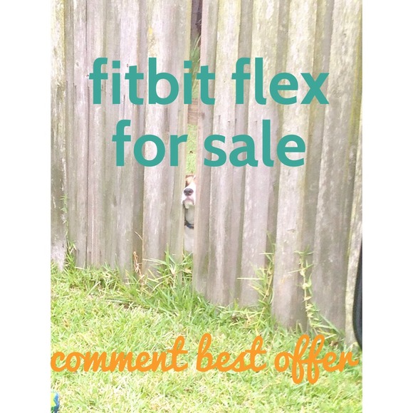 Fitbit flex