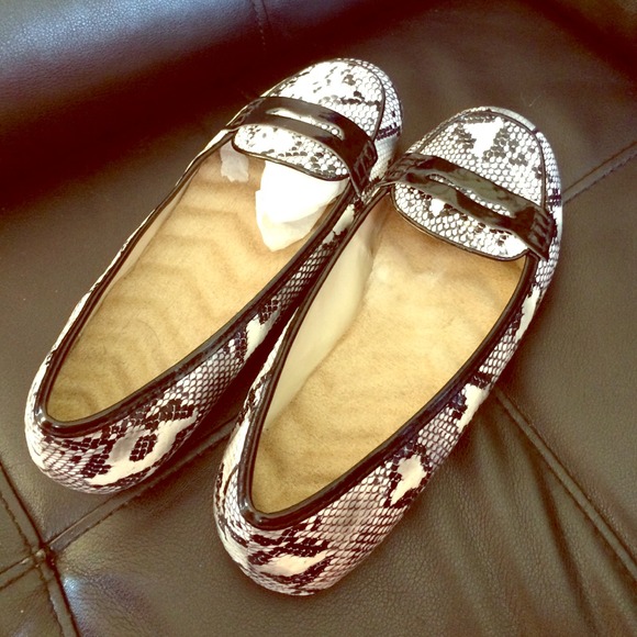 Exotic Print Loafers